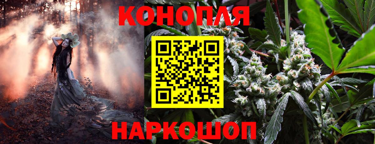 МАРИХУАНА план  Конопля MAZAR  Вход с VPN  Чехов  Бошки марихуана конопля 